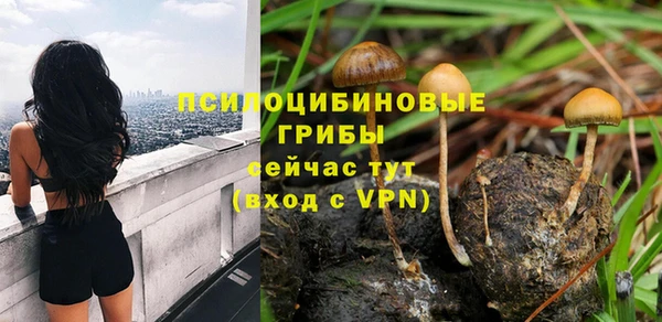 прущая мука Надым