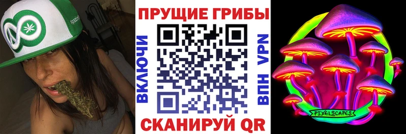 Купить где  Ревда  Галлюциногенные грибы GOLDEN TEACHER 